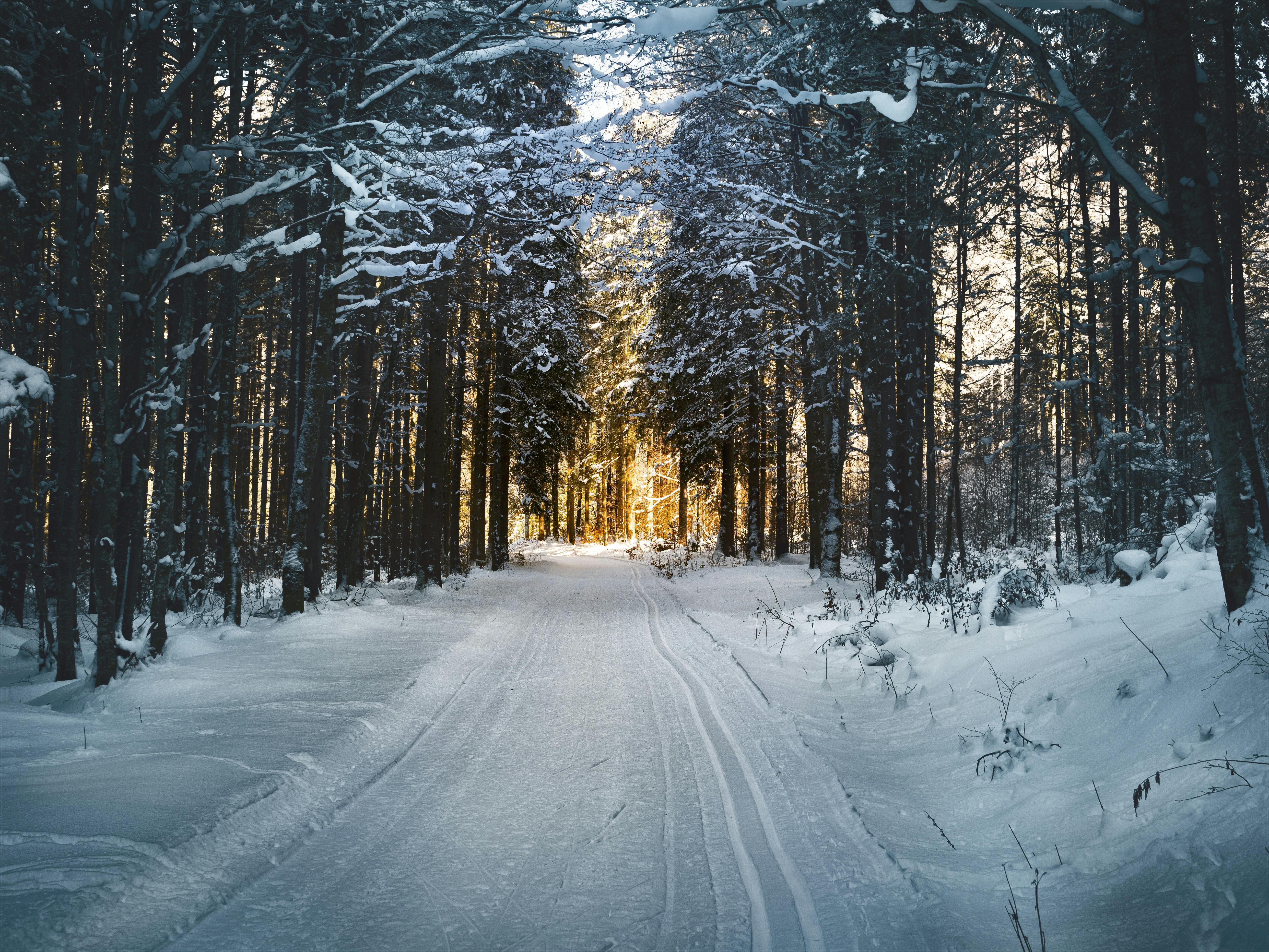 Why You Feel So Tired in Winter (According to Traditional Chinese Medicine)